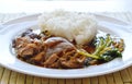 Stewed pork leg with rice on dish Royalty Free Stock Photo