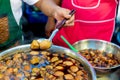 Stewed pork leg at rice shop, Egg and Pork in Sweet Brown Sauce Royalty Free Stock Photo