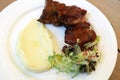 Stewed pork ribs in barbecue sauce Royalty Free Stock Photo