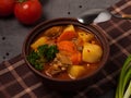 Stewed potatoes with meat or hungarian goulash Royalty Free Stock Photo