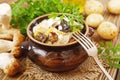 Stewed potatoes with mushrooms and sour cream Royalty Free Stock Photo