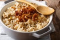 Stewed rice with lentils and fried onions close-up in a bowl. ho Royalty Free Stock Photo