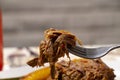 Stewed shredded beef Colombian food Royalty Free Stock Photo