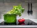 Stewpot with vegetables on induction cooker