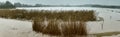 Stiched Panorama of the Winter landscape in Ilkerbruch, a nature reserve on the outskirts of the industrial city of Wolfsburg in Royalty Free Stock Photo