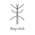 Stick bug linear icon Royalty Free Stock Photo