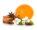 Stick cinnamon, anise star, branch flowers and orange fruit