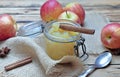 stick of cinnamon in homemade apple sauce i Royalty Free Stock Photo