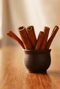 Stick cinnamon in a pottery container