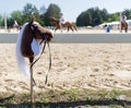 Stick horse, hobby horse. Equestrian sports. Equestrian equipment. Sports. Summer. The sun. Banner. Outdoors. Close-up