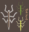 Stick Insects Vectors