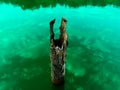 Stick In River For Tie Boat Royalty Free Stock Photo