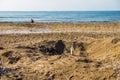 Stick sign on a place of sea turtle nest Alagadi beach Northern Cyprus