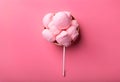 Stick with yummy cotton candy Royalty Free Stock Photo