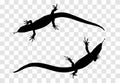 Sticker on car of reptile: Silhouette of lizard. Vector Illustra