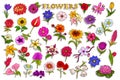 Sticker collection for colorful fresh flower