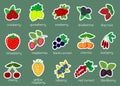 Sticker collection set of ripe berries, icon of fifteen elements in a white stroke on a green background with text. For Royalty Free Stock Photo
