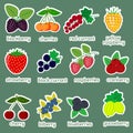 Sticker collection set of ripe berries, icon of twelve elements in a white stroke on a green background with text. For Royalty Free Stock Photo