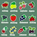 Sticker collection set of ripe berries, icon of twelve elements in a white stroke on a green background with text. For Royalty Free Stock Photo