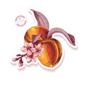 Sticker with hand drawn peach branch