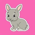 Sticker with contour. Rabbit bunny animal. Cartoon character. Colorful vector illustration. Isolated on color background. Template