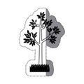 sticker contour silhouette tree leafy with bush