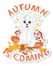 Sticker with cute little white cat is sitting with autumn leaves