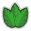 Sticker green leaves nature plant icon Royalty Free Stock Photo