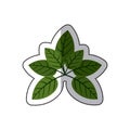 Sticker green leaves with ramifications Royalty Free Stock Photo