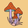 Sticker illustration from a 1970s set. Magic mushrooms grow among the grass. Bright commemorative design.