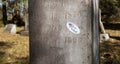 Sticker that indicates a dead voter Royalty Free Stock Photo
