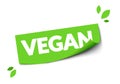 Vector Illustration Modern Green Vegan Sticker. Web Label With Leafs.