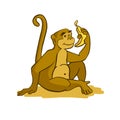 Sticker ready African animal vector image Monkey. Royalty Free Stock Photo