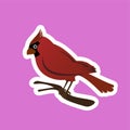 Sticker of Red Bird Cartoon, Cute Funny Character, Flat Design