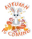 Sticker with symbol of the 2023 year. Cute little rabbit (hare) is sitting with autumn leaves.