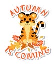 Sticker with symbol of the 2022 year. Cute little tiger is sitting with autumn leaves.