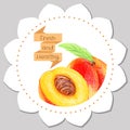 Sticker template. Healthy and fresh peach.