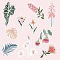 Set of tropical flowers and leaves elements. Set of stickers, pins, patches and handwritten notes collection stikers kit.