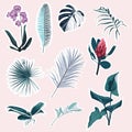 Set of tropical protea, orhid flowers and blue leaves elements. Set of stickers, pins, patches and handwritten notes collection