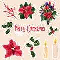 Set of Christmas stickers. Symbols of the holiday. Cartoon images of a composition, berry christmas tree, flowers. Red colors. Royalty Free Stock Photo