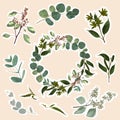 Bright style set stickers with garden herbs. Collection of isolated elements on beige background. Royalty Free Stock Photo
