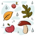 stickers on the autumn theme leaves raindrops mushroom and apple with berry Royalty Free Stock Photo