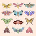 Stickers with butterflies Royalty Free Stock Photo