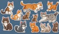 Stickers with small breed cats for children, Very cute, vector graphics