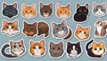 Stickers with small breed cats for children, Very cute, vector graphics