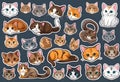 Stickers with small breed cats for children, Very cute, vector graphics