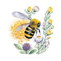 Stickers white background honey bee watercolor