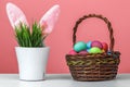 Sticking rabbit ears of a flower pot with artificial green grass, next to a basket with colored dyed eggs. Easter concept Royalty Free Stock Photo