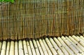 Sticks of brown and green bamboo in different shades pattern Royalty Free Stock Photo