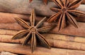Sticks cinnamon and badian close up Royalty Free Stock Photo